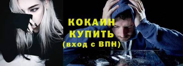 сатива Абинск