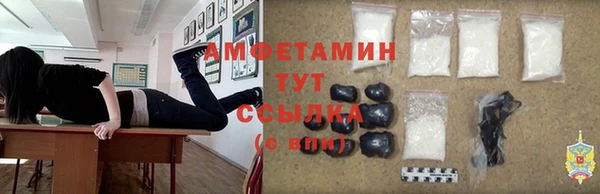 стаф Алексин