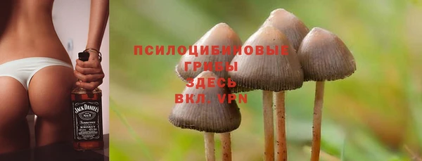 сатива Абинск