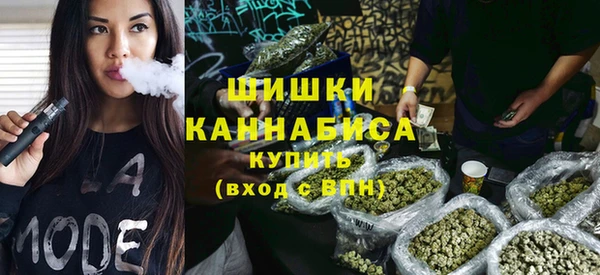 сатива Абинск
