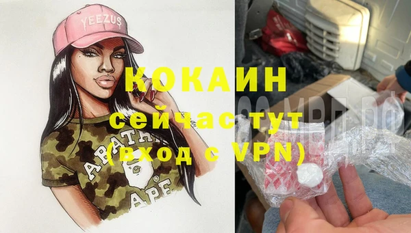 крисы Алзамай