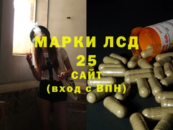 стаф Алексин