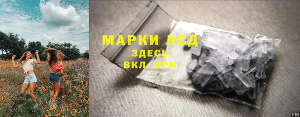 сатива Абинск