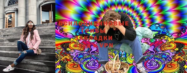 круглые Абаза