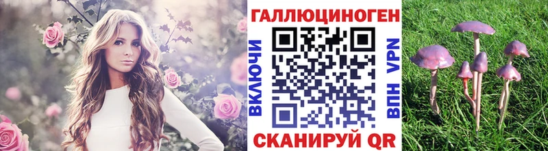 Галлюциногенные грибы ЛСД купить закладку Новотитаровская